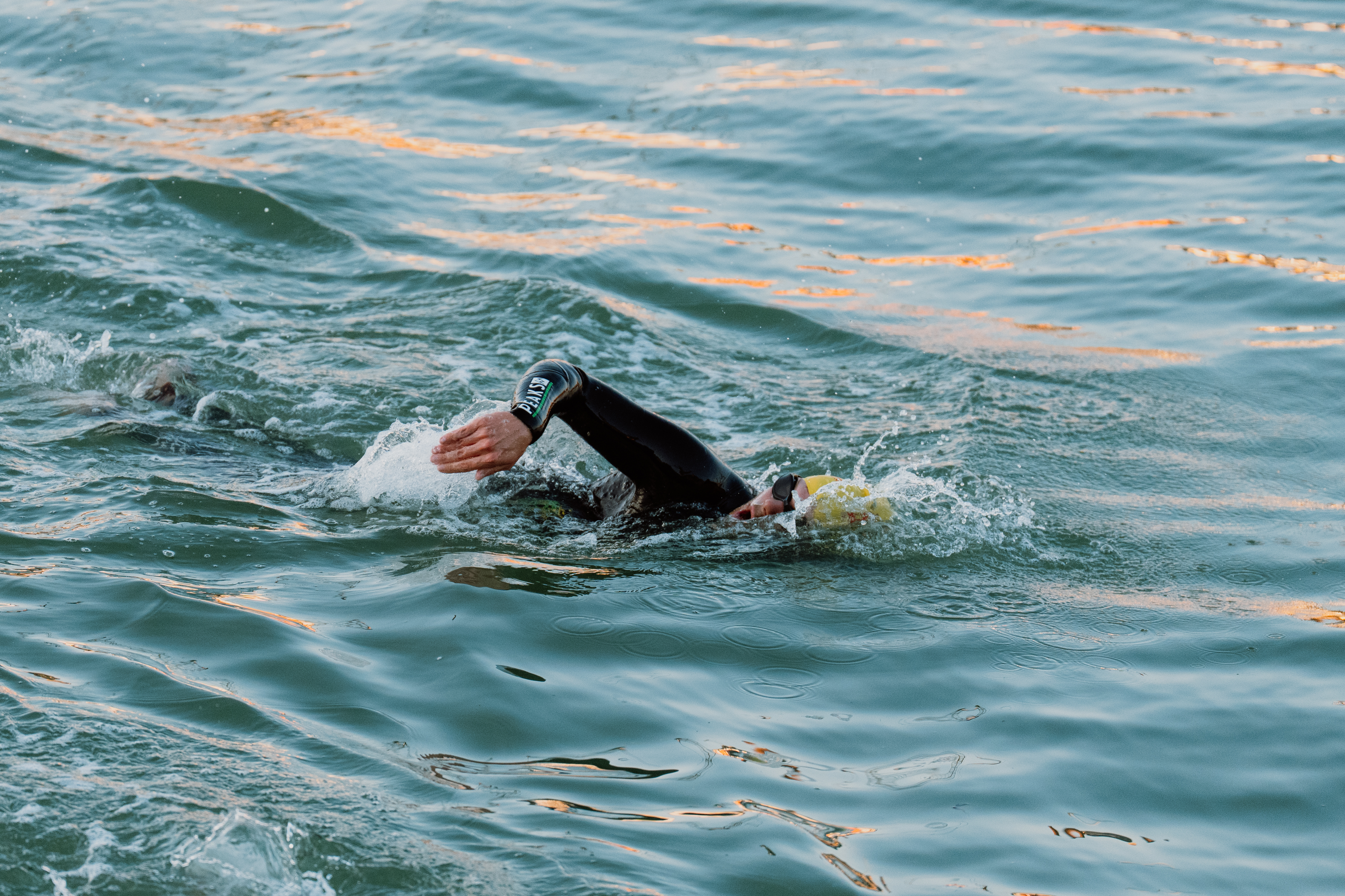 Trainings & Webinars